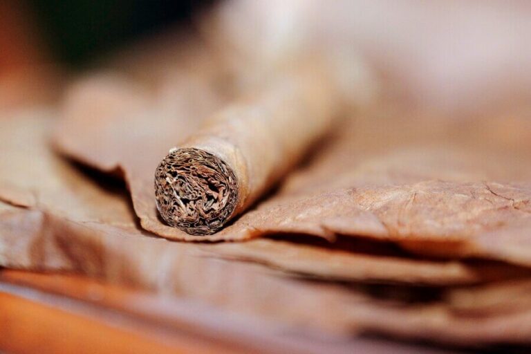 The Health Considerations of Cigar Smoking